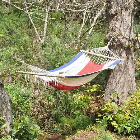 Hétvégi ház El Roque Tegueste